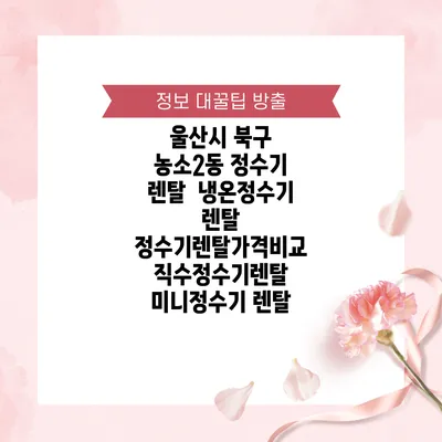 울산시 북구 농소2동 정수기 렌탈 | 냉온정수기 렌탈 | 정수기렌탈가격비교 직수정수기렌탈 미니정수기 렌탈